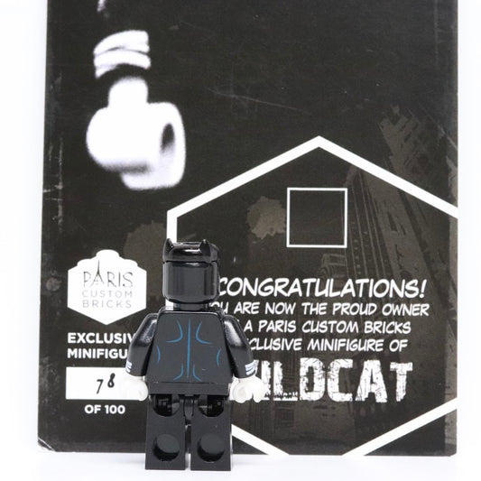 Paris Custom Bricks Wildcat