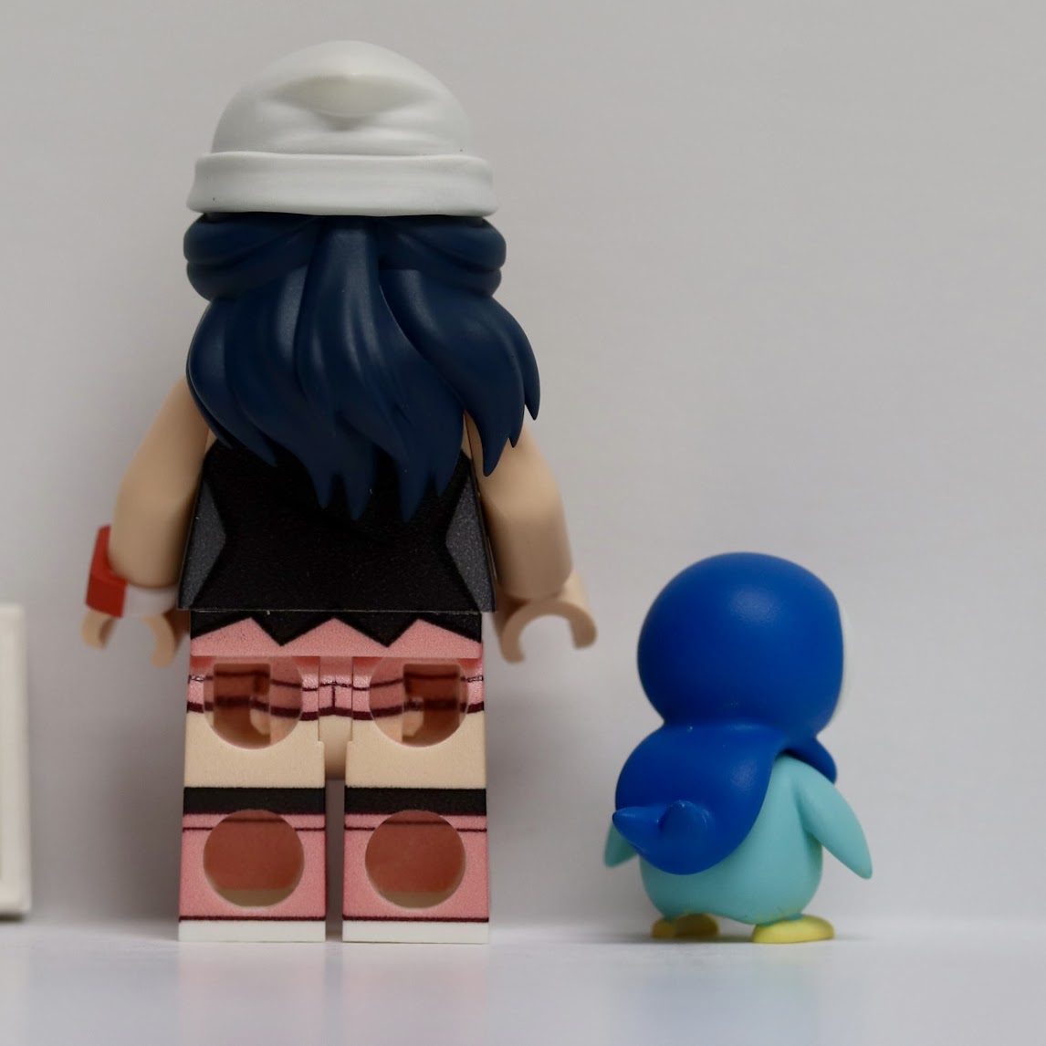 Mifibono Pokemon Dawn & Piplup