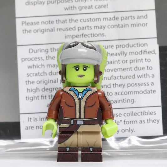 Baggles Hera Syndulla (Aspiring Pilot)