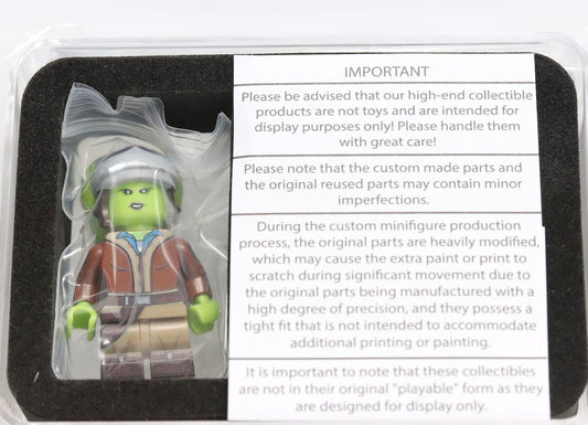 Baggles Hera Syndulla (Aspiring Pilot)