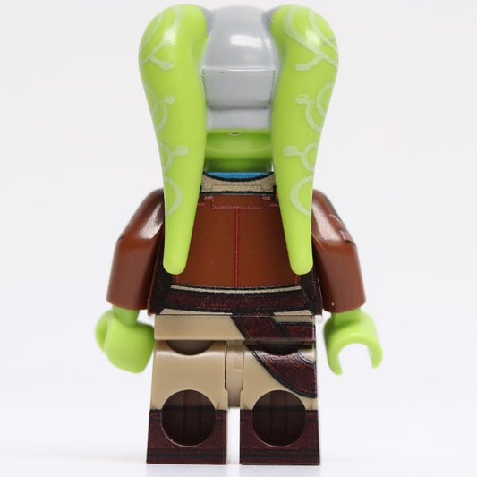 Baggles Hera Syndulla (Aspiring Pilot)