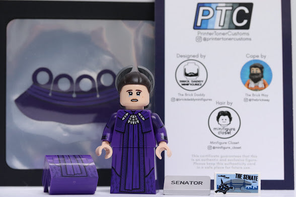 Printer Toner Customs (PTC) Senator Padme Amidala