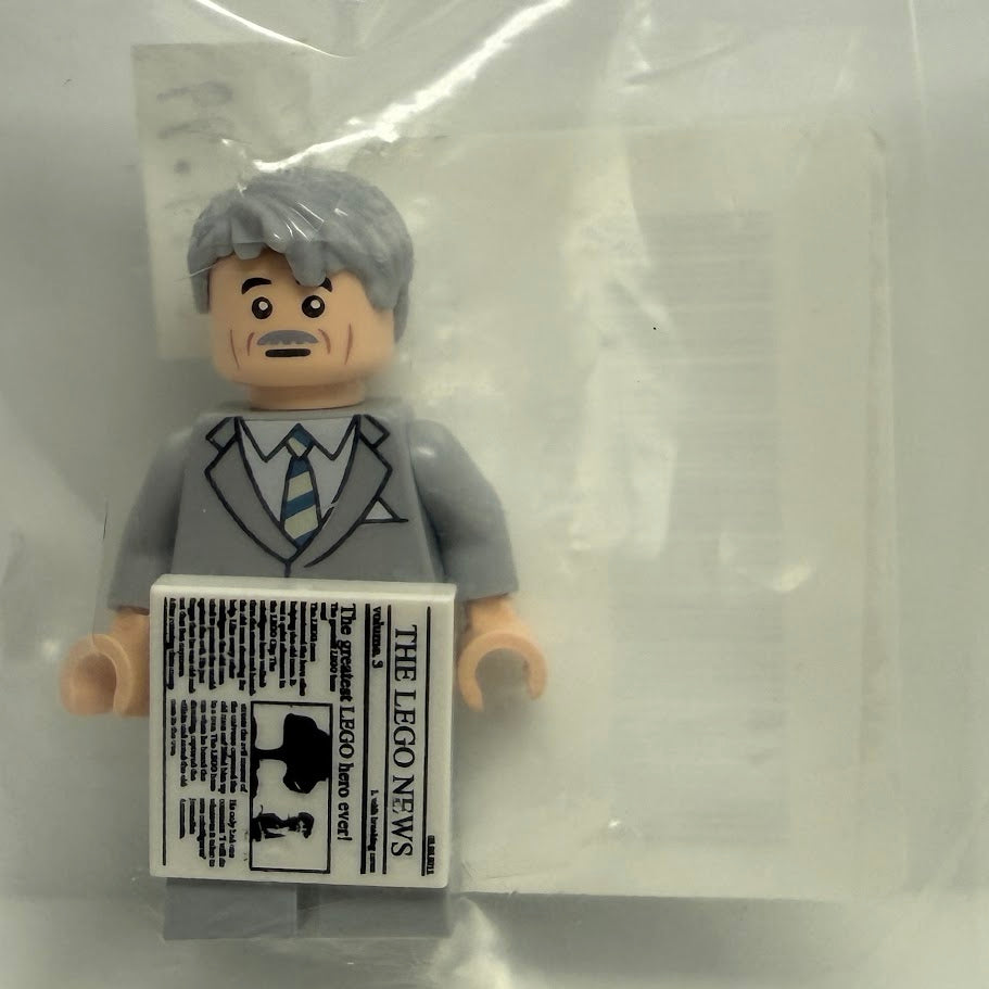 Citizen Brick Colonel Robert R. McCormick