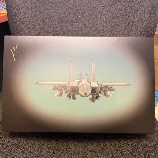 BrickVeteran F-15E 335th FS Strike Eagle