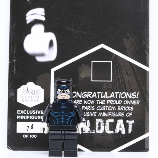 Paris Custom Bricks Wildcat