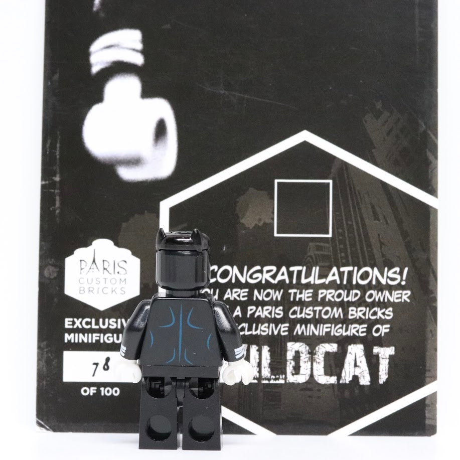 Paris Custom Bricks Wildcat